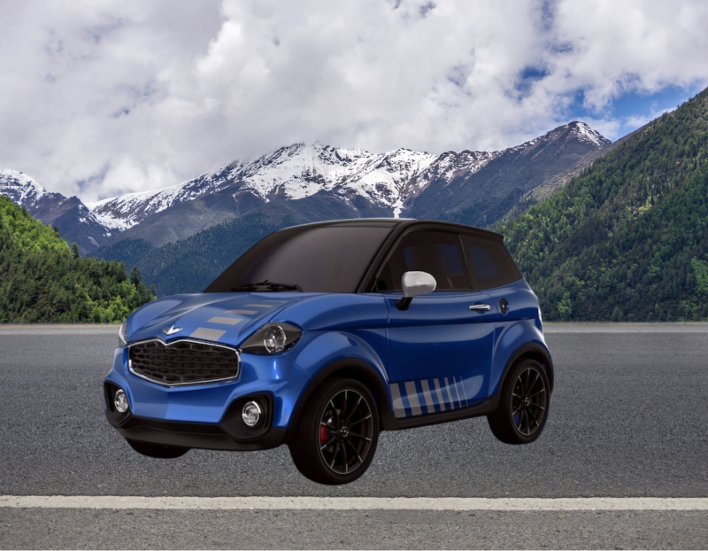 voiture électrique sans permis var 