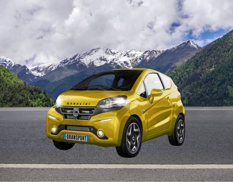 VOITURE SANS PERMIS LA SEYNE SUR MER 