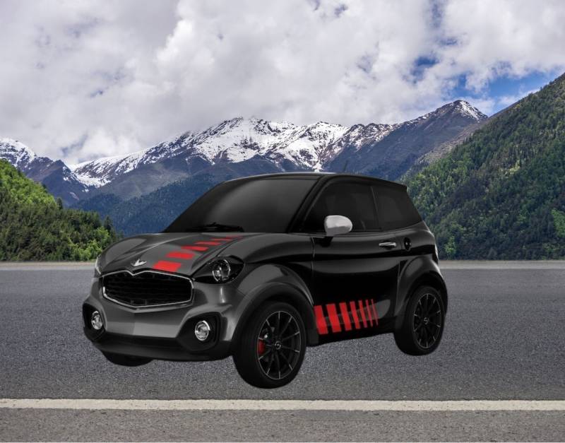 Voiture neuve sans permis