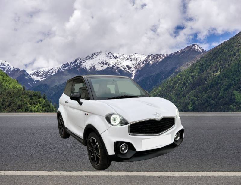 Véhicule sans permis st cyr sur mer 